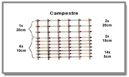 Campestre Campestre